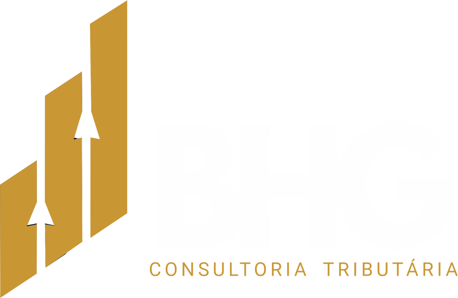 BHG Consultoria